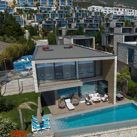 Luxury Front In Olea *